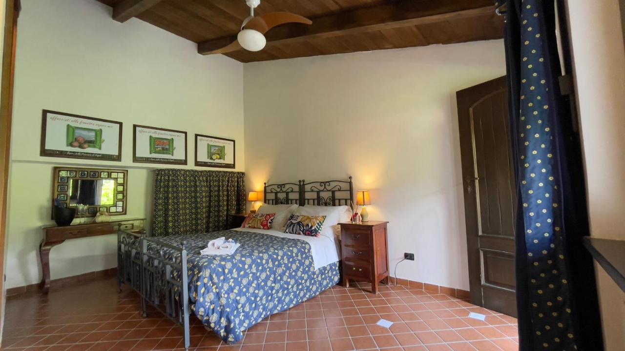 Agriturismo La Casa Del Ghiro Pimonte Exterior foto