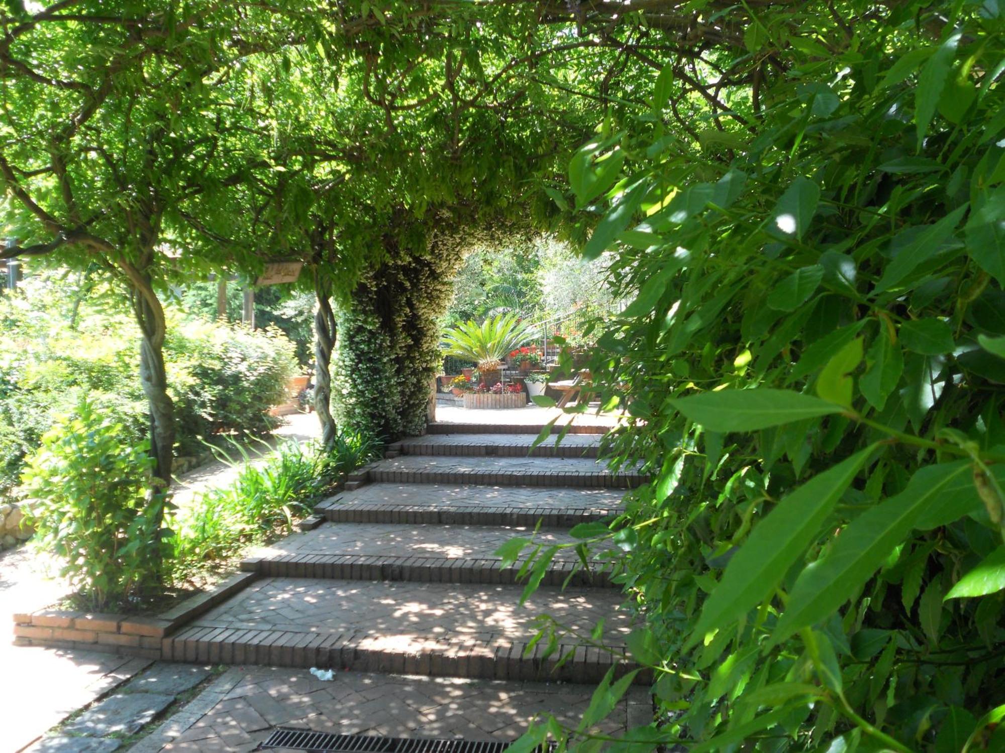 Agriturismo La Casa Del Ghiro Pimonte Exterior foto