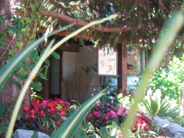 Agriturismo La Casa Del Ghiro Pimonte Exterior foto